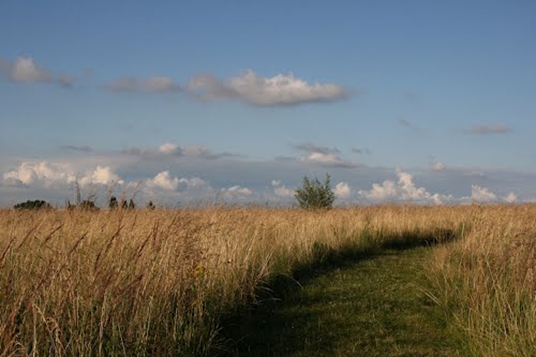 Vlindertuin / MTB route